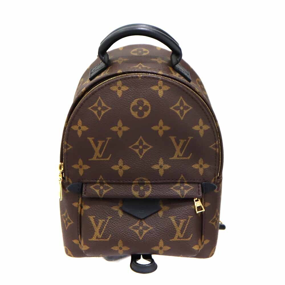 Louis Vuitton Palm Springs Backpack Rucksack Monogram Canvas Leather Brown